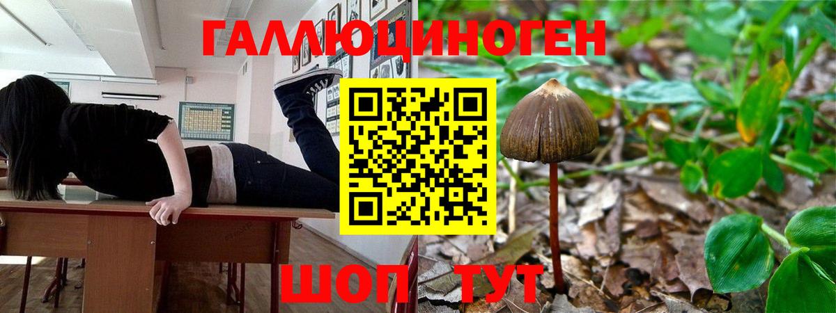 Псилоцибиновые грибы MAGIC MUSHROOMS  Вход с VPN  Галлюциногенные грибы MAGIC MUSHROOMS  Сокол 