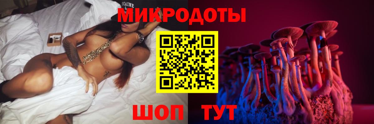 Псилоцибиновые грибы мицелий Сокол